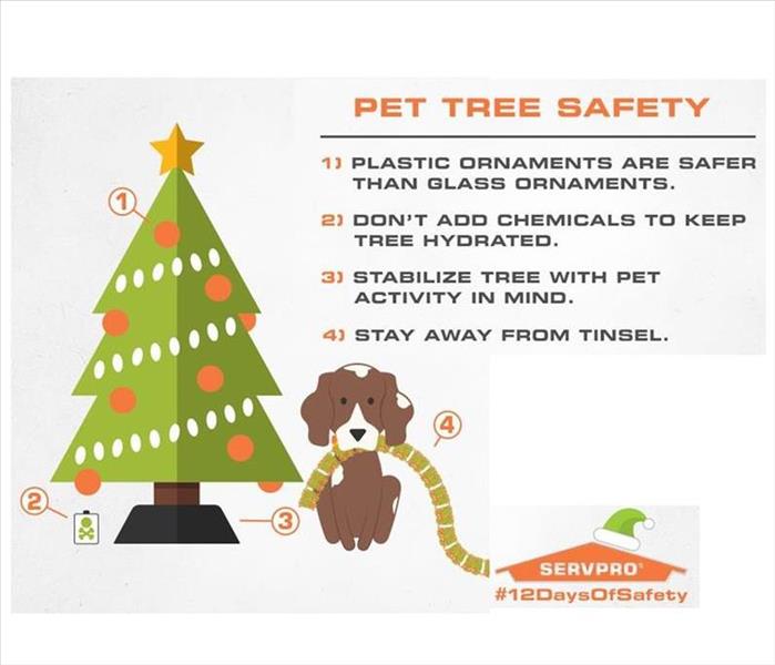 Pet Tree Safety 